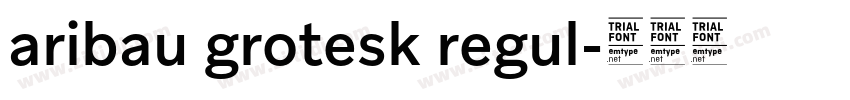 aribau grotesk regul字体转换